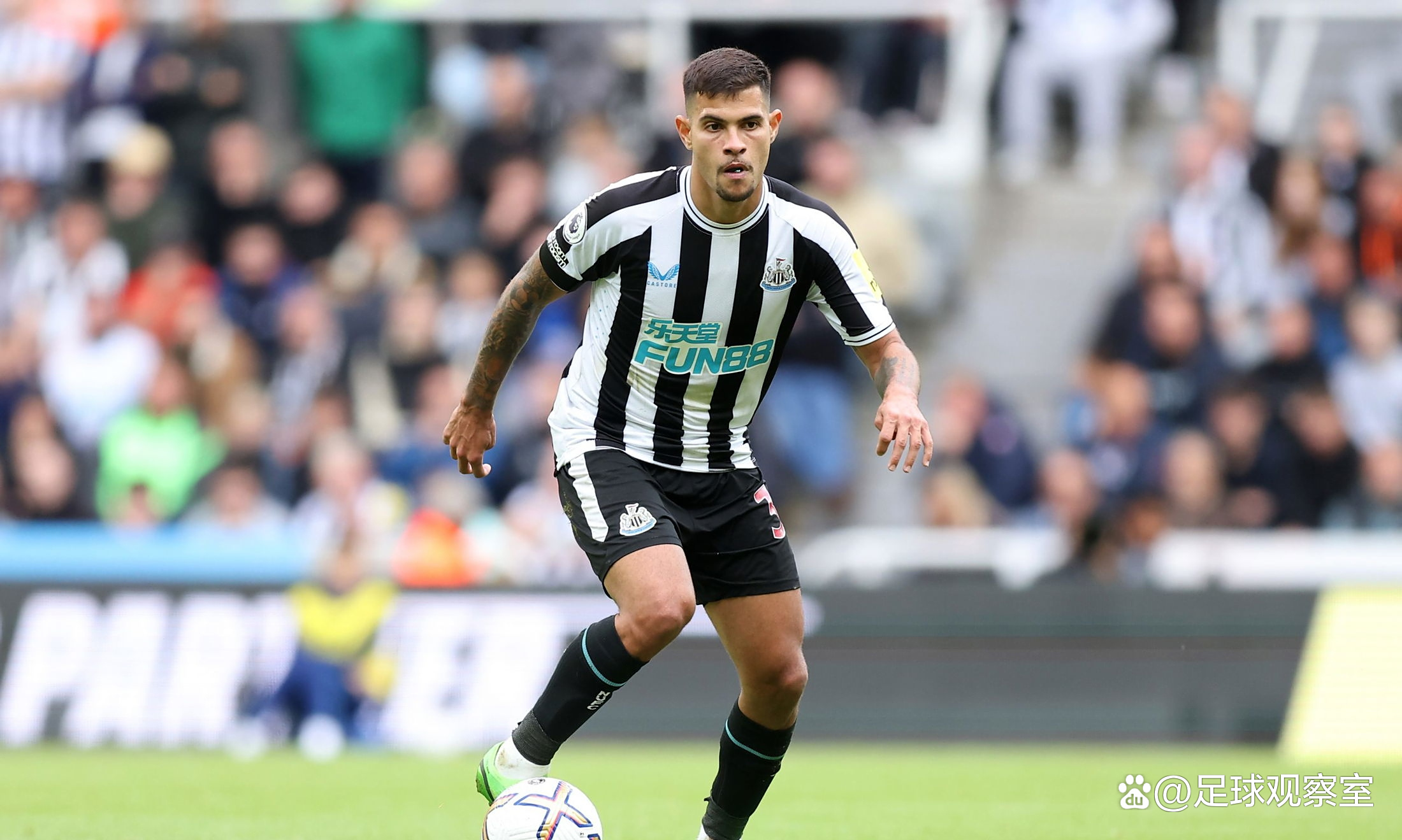 纽卡索联主帅下课，俱乐部寻求新帅的简单介绍