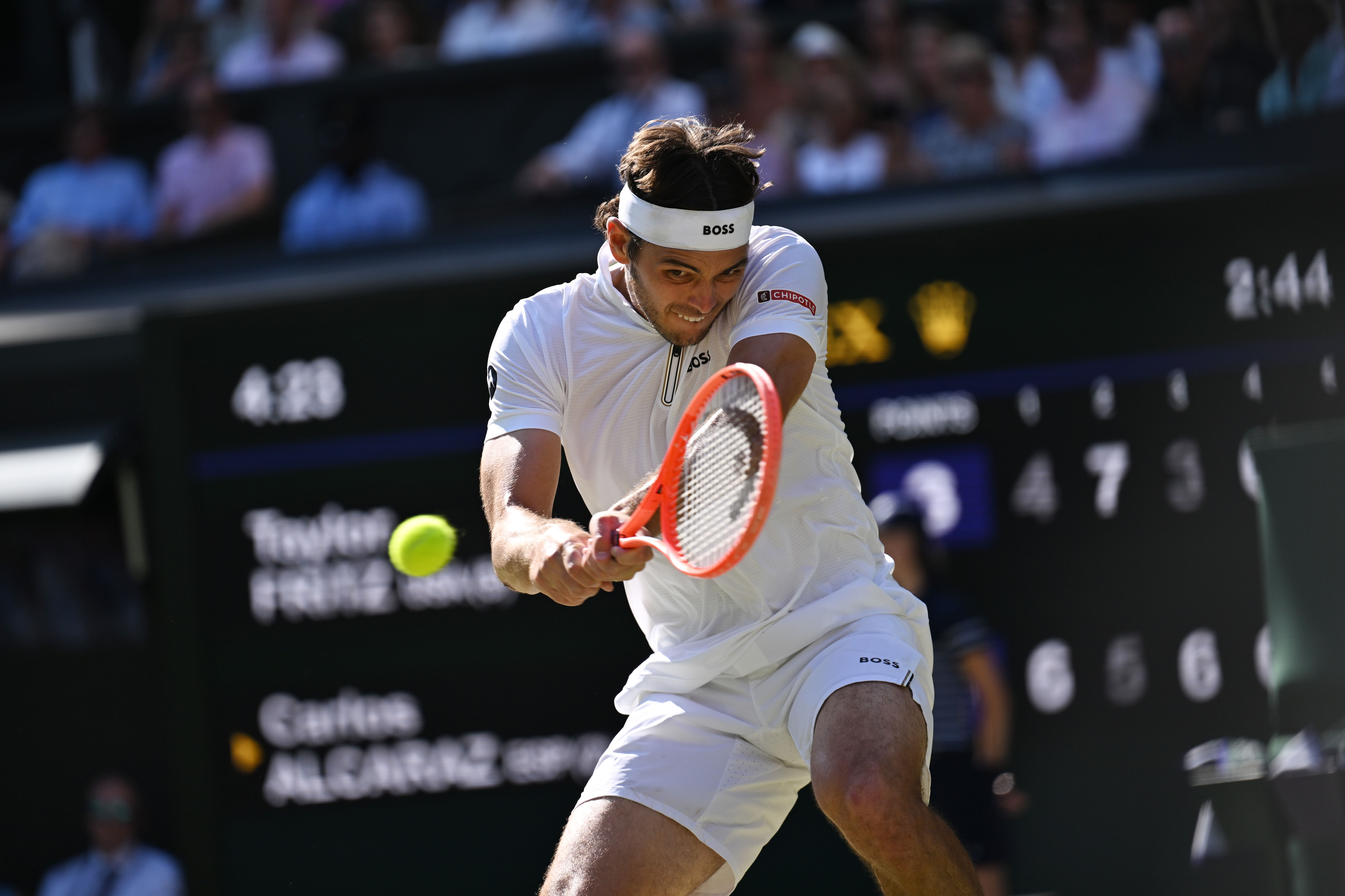 包含温网鏖战戴维斯杯，阿尔卡拉斯惊艳四座的词条