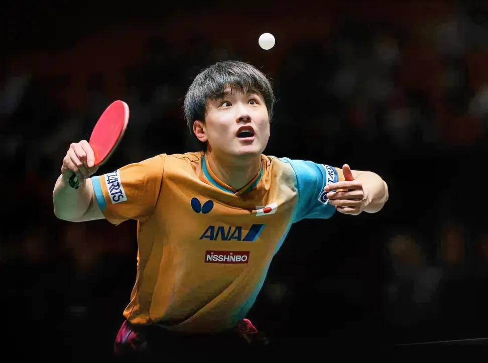 包含德国队绝杀中国队，张本智和扛起全队的词条