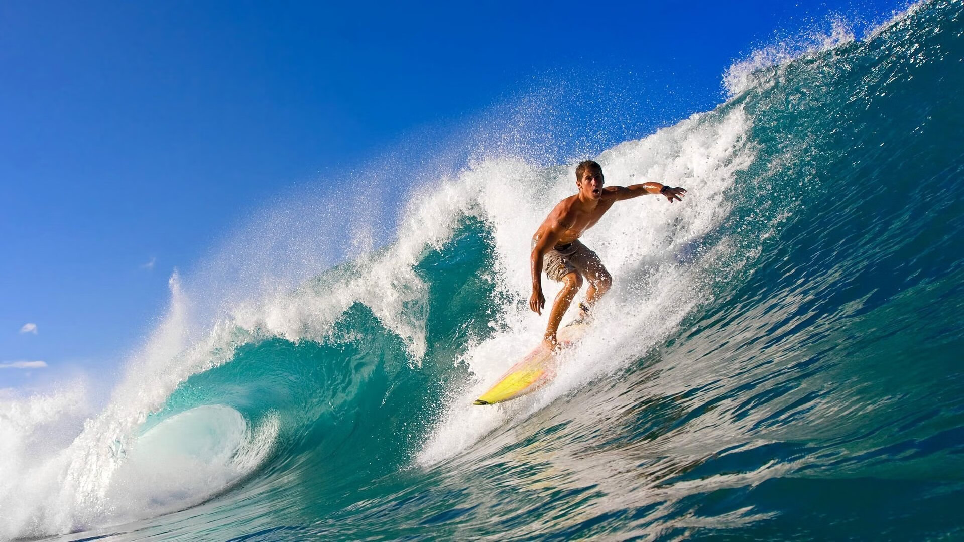 铁血辽宁,收割之战,季后赛焦点战中的王者风范